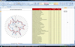 Business Architecture Opportunity Assessment Heat Map Scoring